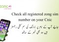Check Zong Sim Number